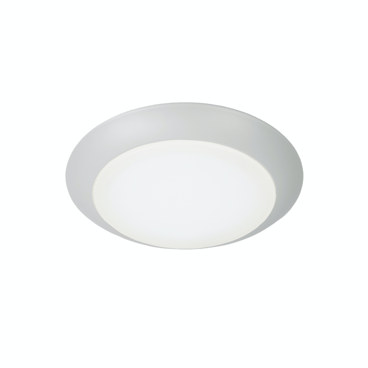 ALPINE BASICS SURFACE 6IN